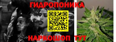 крисы Гусь-Хрустальный