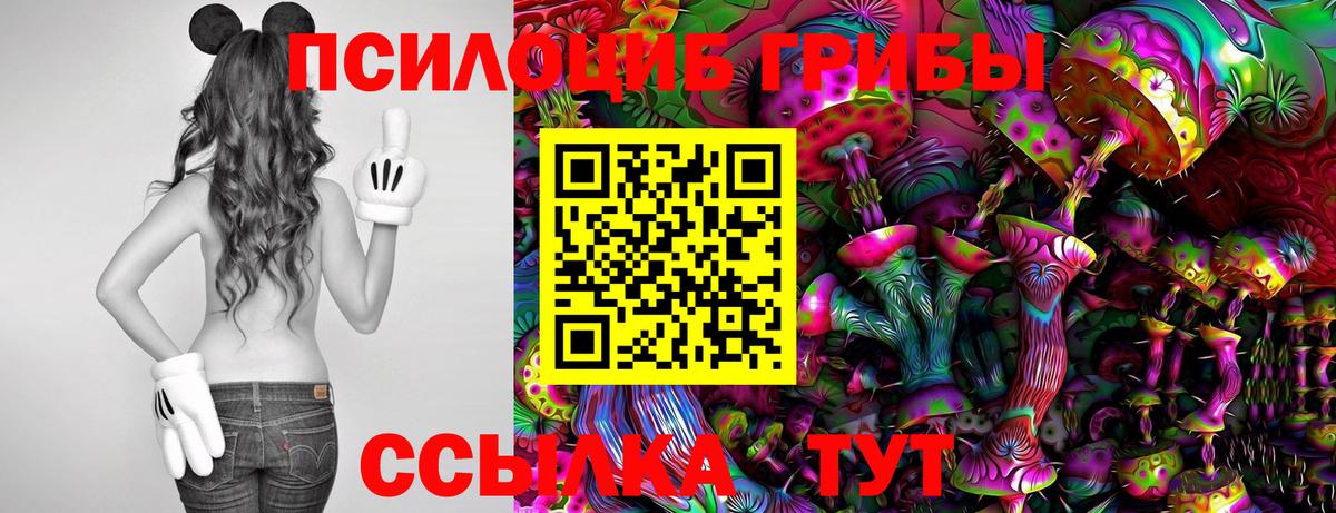 Галлюциногенные грибы GOLDEN TEACHER Шелехов