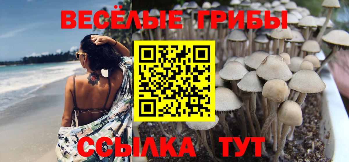 Шелехов  Псилоцибиновые грибы MAGIC MUSHROOMS  Вход с VPN 