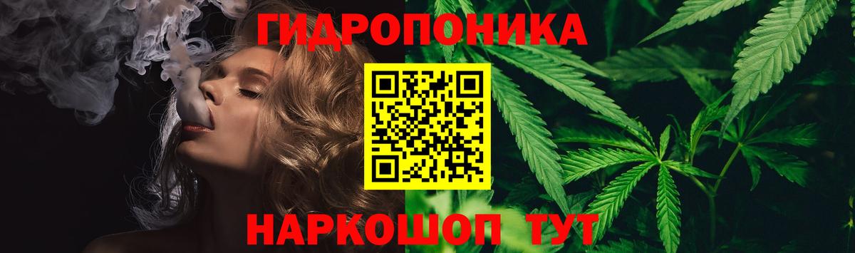Конопля ГИДРОПОН  Шишки марихуана LSD WEED  Шелехов  Каннабис Bruce Banner  Вход с VPN  Конопля THC 21% 
